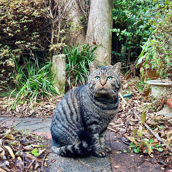 B45c418c 9f95 4c1e 91cd fda7a7f3cd99 1735437375489