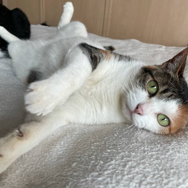 B45c7470 0c84 4312 8664 151707a95c42 1640837579858