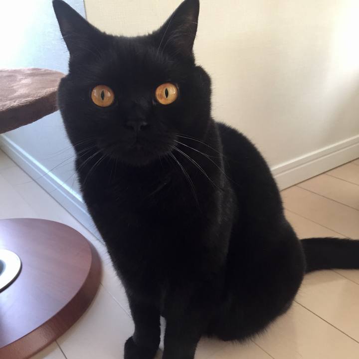 B45c84fb 62ac 41e2 a735 fc0b60e4a903 1528149958244