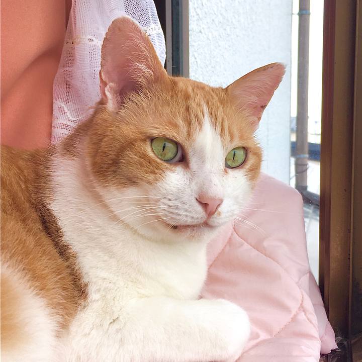 B45c989f 5f1c 45aa bf57 a14a2fdb61a5 1592866554853