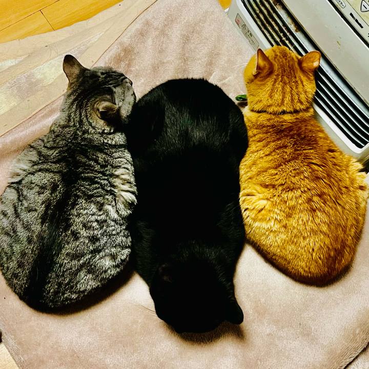 B45cac9b 66dc 4058 b7ac d541cff302d8 1773223794794