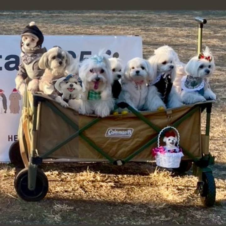 B45cb41c 36a1 46a9 8cea 78a087194dc4 1765178855012