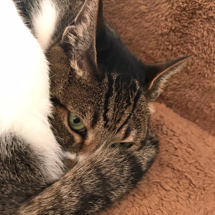 B45cca2e 6571 4f29 9103 44d0ce088d70 1521335650966