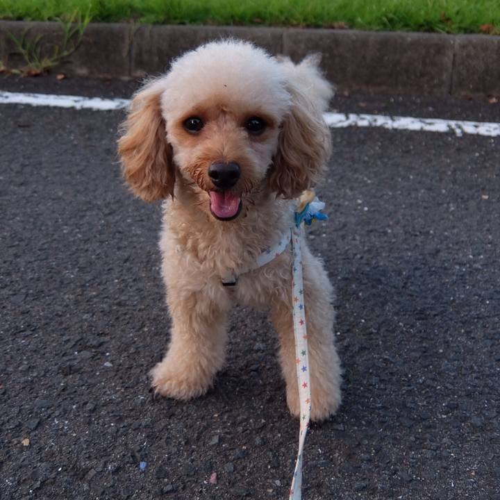 B45ceefa 2565 47ba b22e 38b1e33e895a 1537959492787