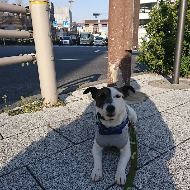 B45cf56a 22c6 4f3e 8883 0ca18a220cab 1522726431361