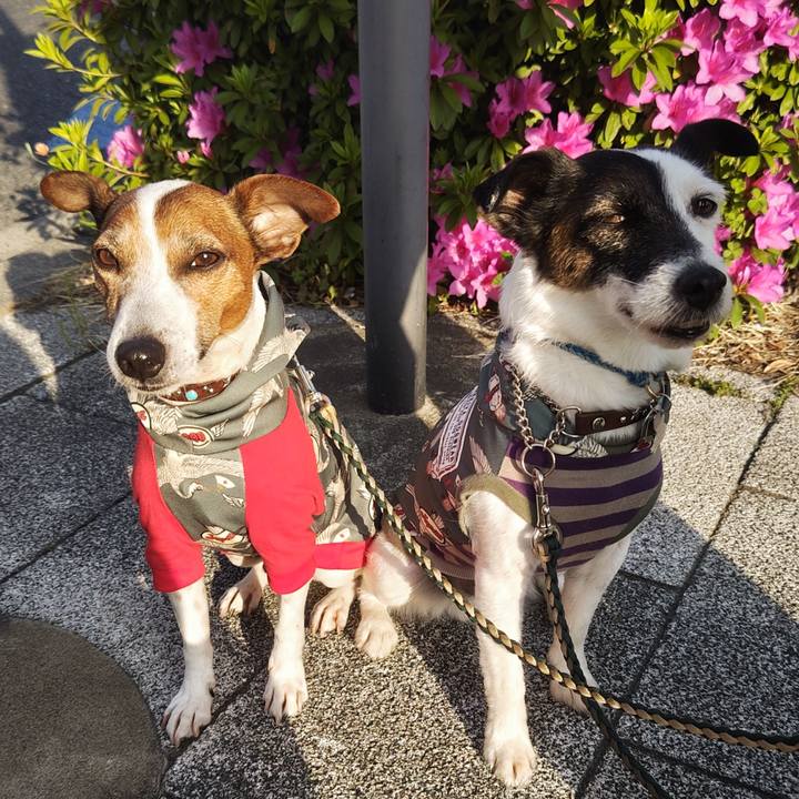 B45d24cf 01bf 4eea 90f0 bd9239626ed1 1745271932888