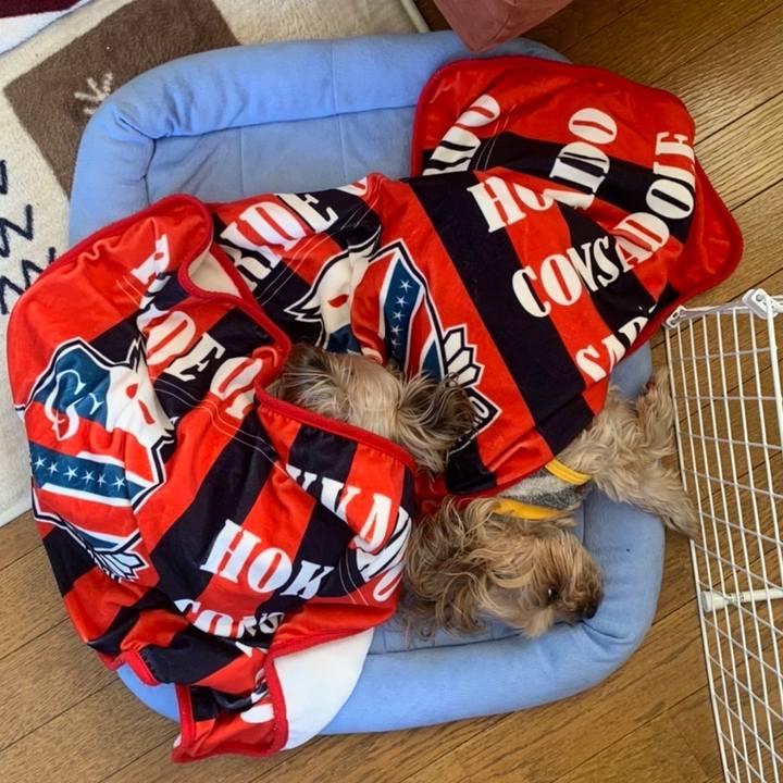 B45d75a9 cb4e 461a b50a eb571f1783c7 1646992641320