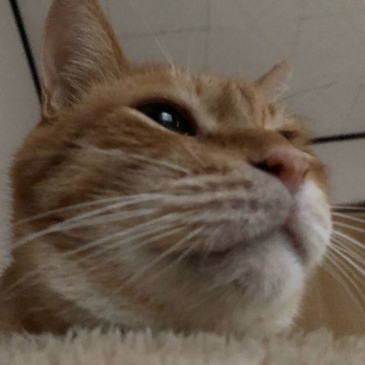 B45d8024 6de1 4fdc 935f 62273ed33238 1592512229232