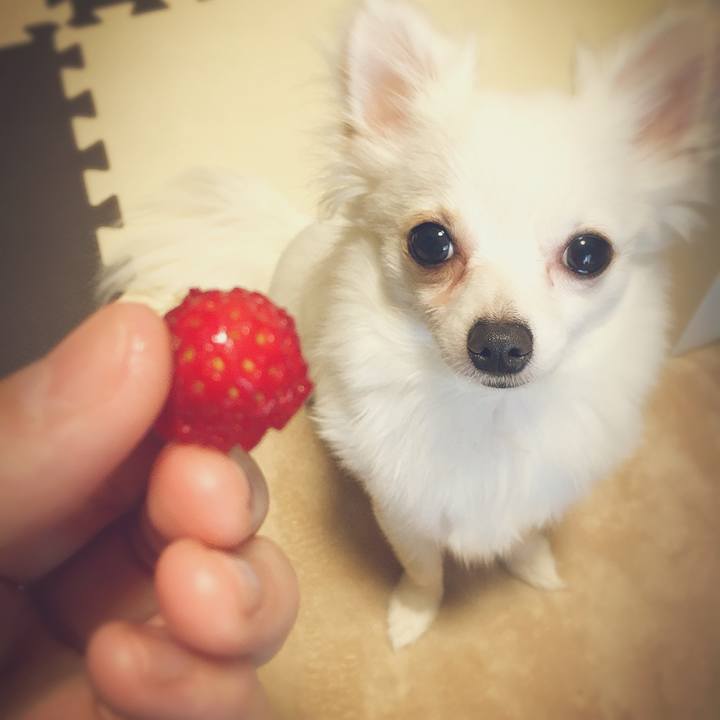 B45da001 2a88 4fe1 9740 82125df6e2e0 1520317463445