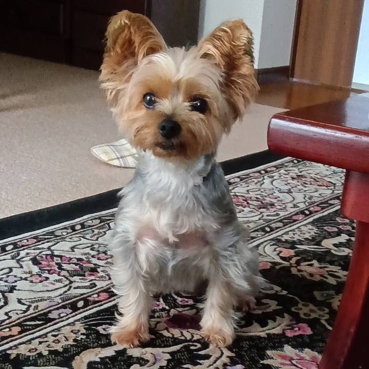 B45db18a babf 4ac4 b719 4a8562ec278c 1761566383647