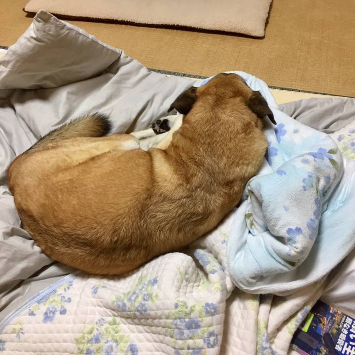 B45dd4c2 90f5 4c6f 88a3 abf84f1d6703 1535550664233