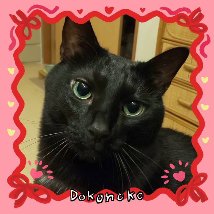 B45e0c65 fe9f 418e 9249 70d2ae1d3504 1706971154978