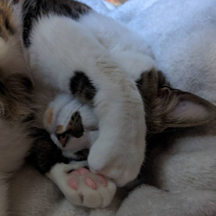 B45e165b a5ae 4727 9f18 f2616f077b03 1678490578140