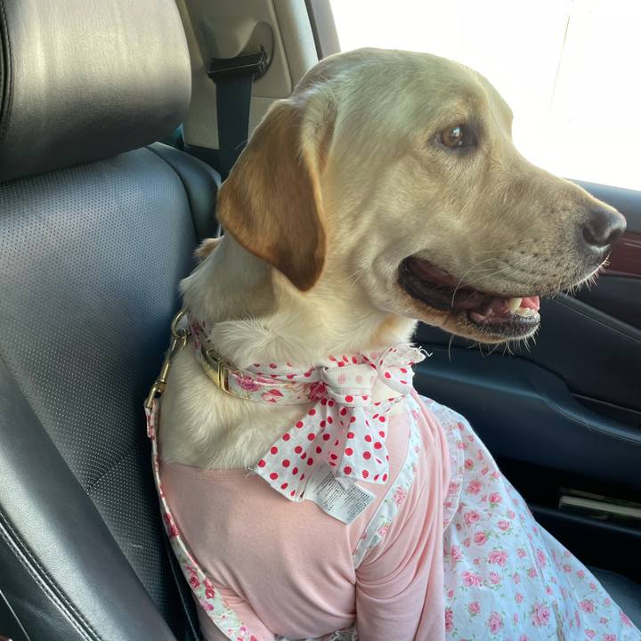 B45e561e 86ef 442c b129 4fe0f1c4d375 1641539056187