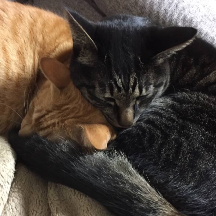 B45e8714 4ee4 46a7 bdf2 34eef0e12d69 1515342295507