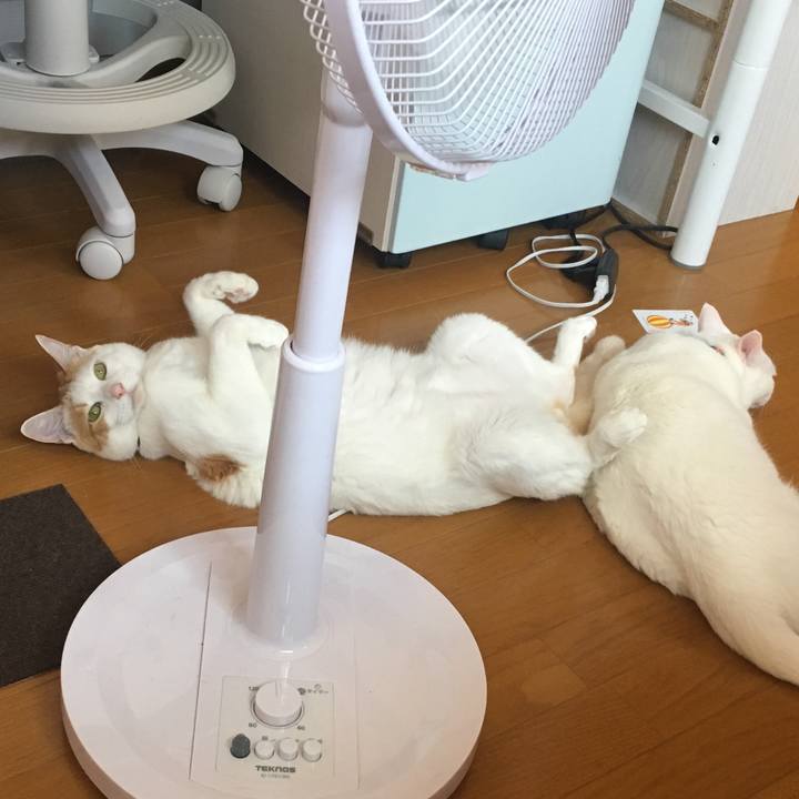 B45e99cf 681a 4312 8f0e eebbf0910da7 1535205741650