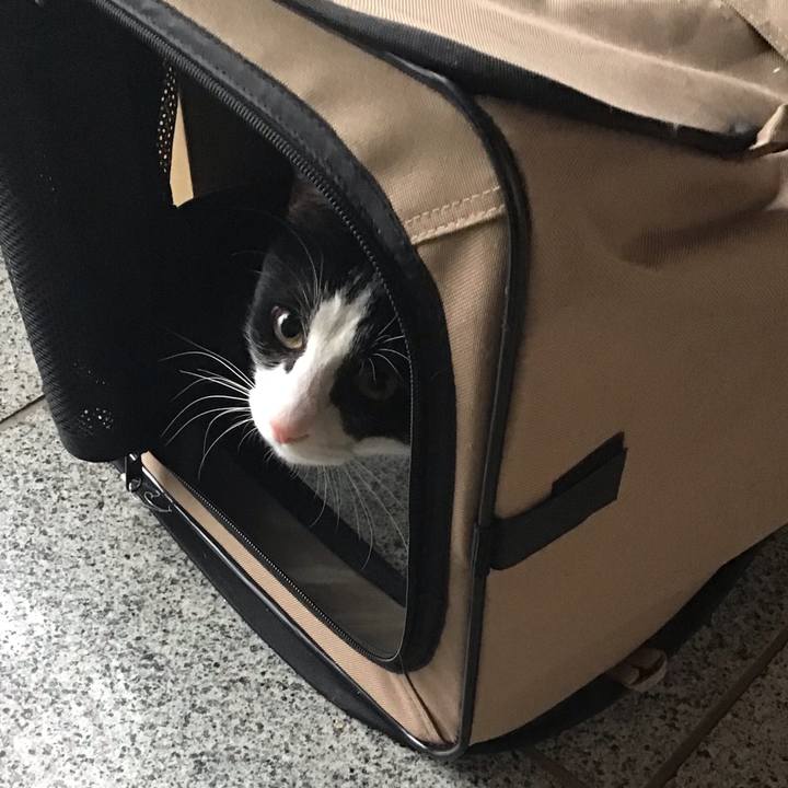 B45ea248 d77b 42d3 9fc7 58f1f6be0d94 1648246482625