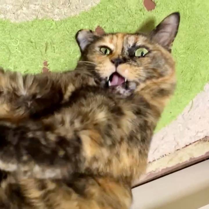 B45eb357 5bdd 412c 83f2 b66a769791a0 1734953917031