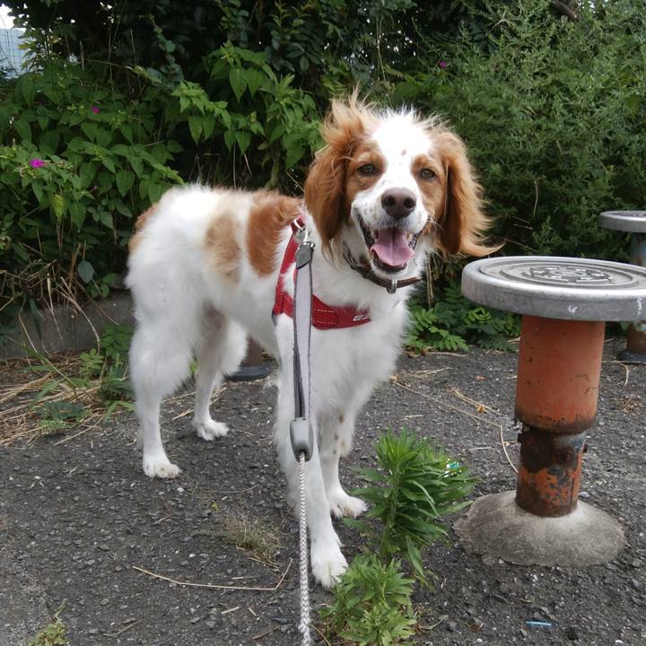 B45ec2aa c733 4363 97aa 845efd9229fe 1531386514692