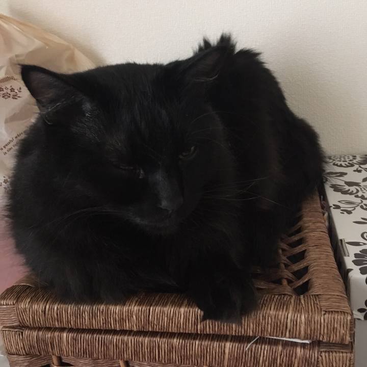 B45f198d d70a 4e70 9fd0 41a8b440c49b 1510183701117