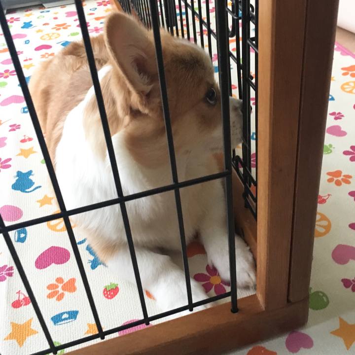 B45f2f16 c0e0 453a 811b e1d754a513be 1560930220056