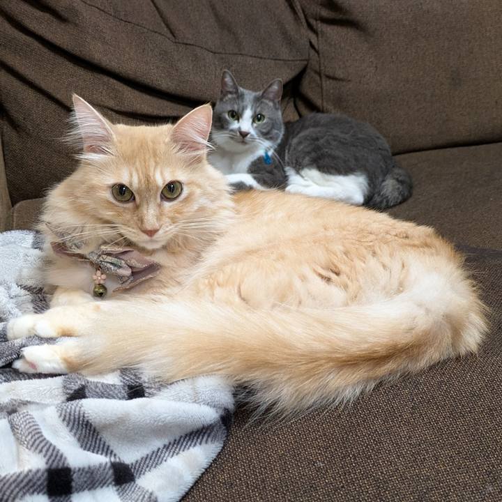 B45f330e fc84 4f9d 87b8 a9200b626436 1729592430432