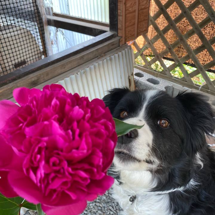 B45f43fa db23 433a 8440 53deb3698b6f 1619508052903