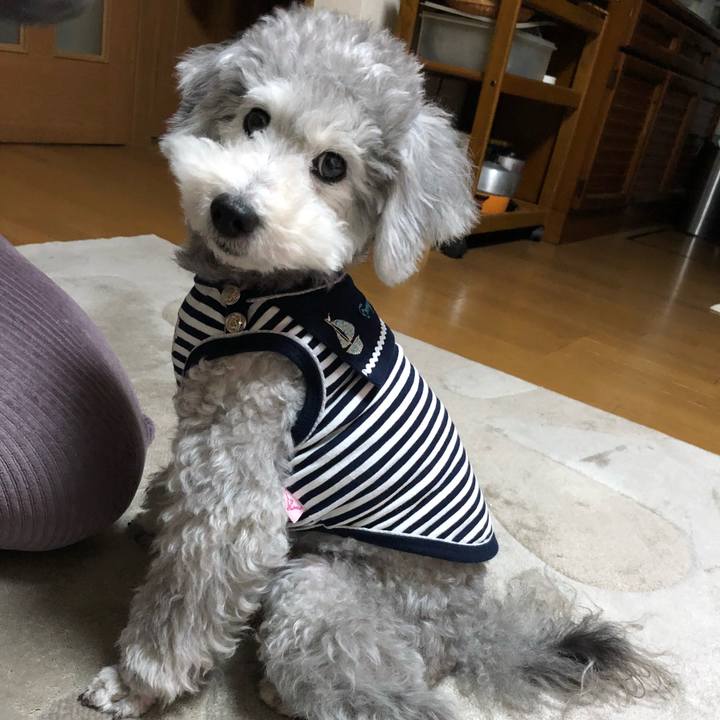 B45f6ba8 00bb 4767 b3b5 e2dd132d02db 1525215949500