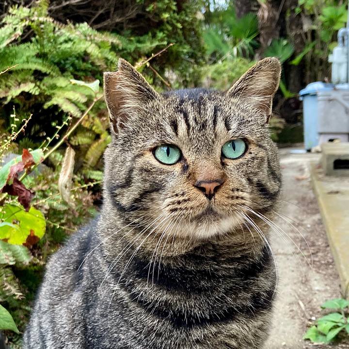 B45f82c6 eeec 42f0 8c44 002e6a3cd8d7 1636277987788