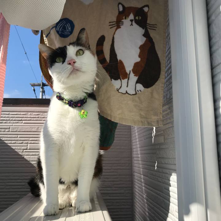 B45f83f1 38ef 4560 9623 8993f1818ced 1510798271386