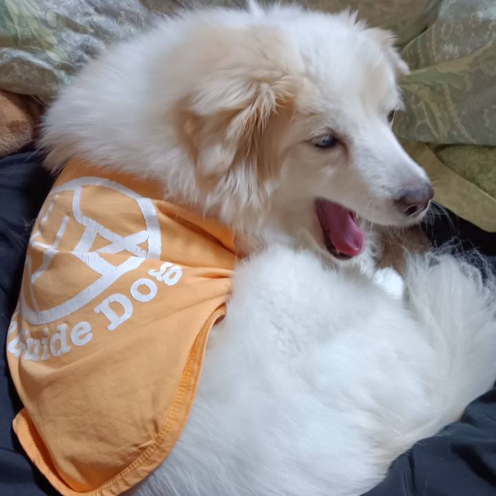 B45faadd 1b56 4c27 9132 da7de934ef51 1708986010280