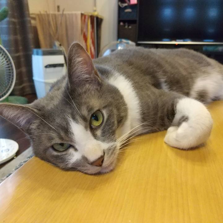 B45ff2aa cb0c 42c3 8cda 5b0638052719 1614240673982