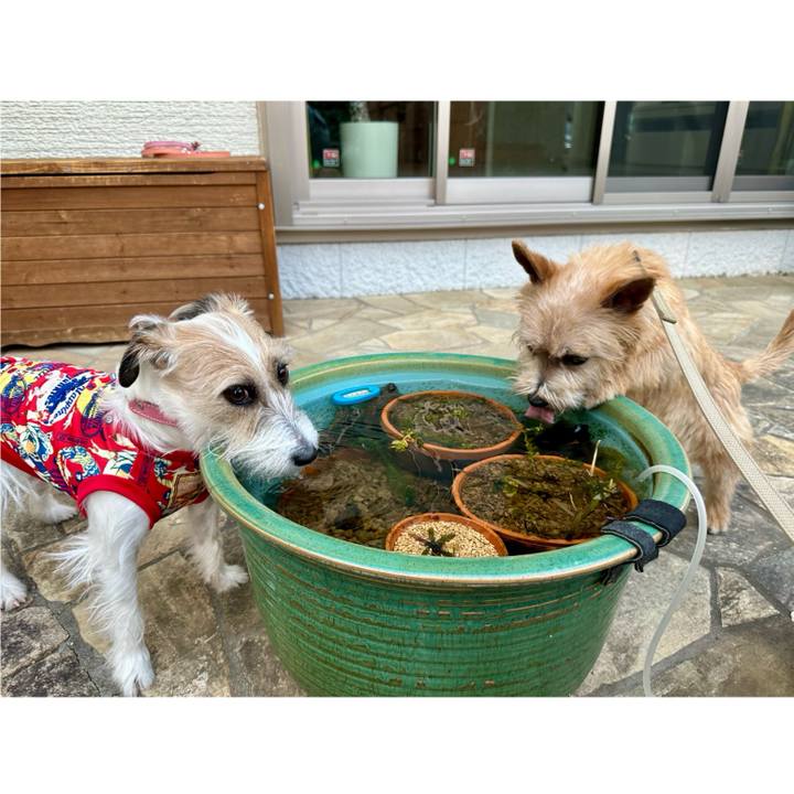 B460020d 71fe 4652 b6a6 aba839cc86bb 1710601093291