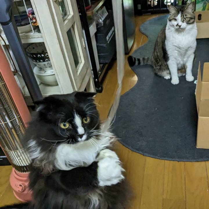 B4601683 8c1a 4d01 8166 b13ac74a43be 1671943237035