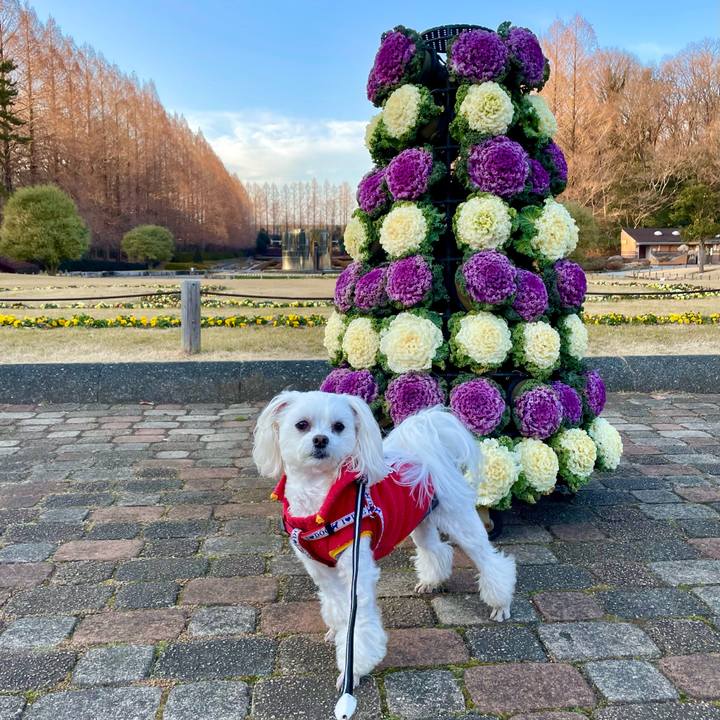 B460a1cf 2d58 40b8 bc3a 18883c5d683d 1643608092308