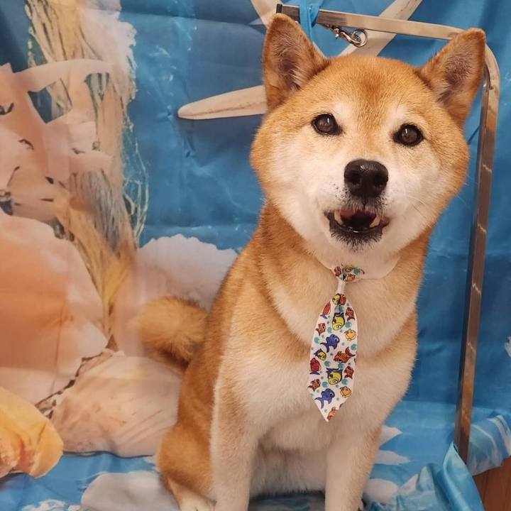 B460c09b 46f0 4386 b806 e0c415e6e4e9 1752580347509