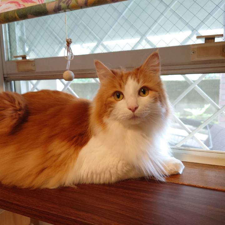 B460c6e5 97f5 4b18 9fe4 c5a555043ac5 1593059292649