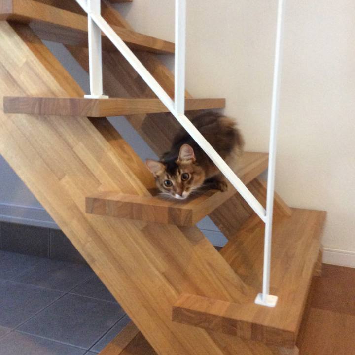 B4610458 fe2c 4a2c 8d2c 37458cddf12e 1573213609269