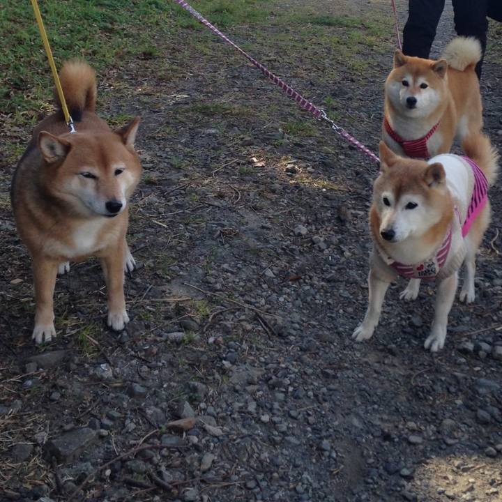 B4613576 6654 4e9a 9385 7760b9c673f2 1548479578274