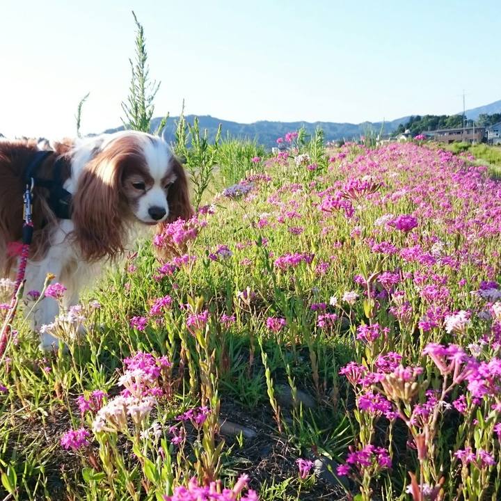 B4614769 a7b6 43b2 a390 fb1676ed55c3 1560417588870