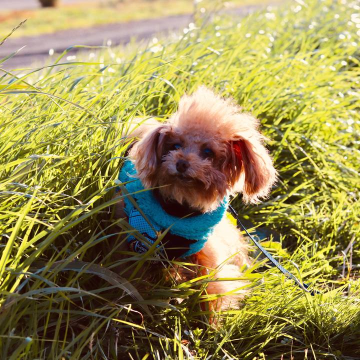 B461a78a 9f5f 455a 8a61 46ff5c0a281c 1544968021759