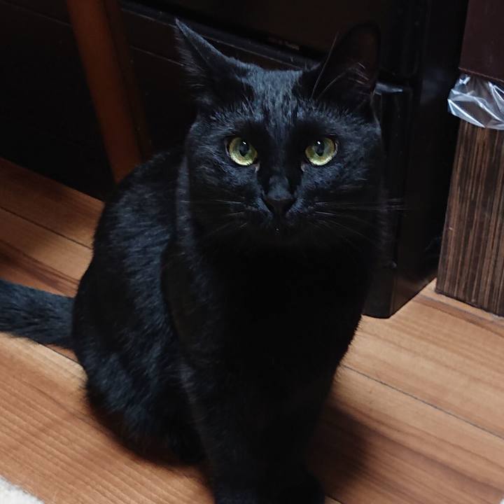 B461b1b8 808f 4d55 8c1f d0161df3e6fe 1584116772822