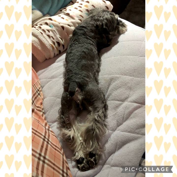 B461fb34 87af 4a84 b0b4 ef440987c58c 1684416515254