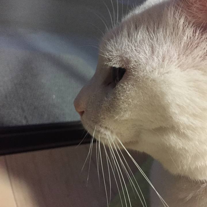 B46223d2 a4fa 4c7d b6b6 eee7fa0905fe 1530019107468