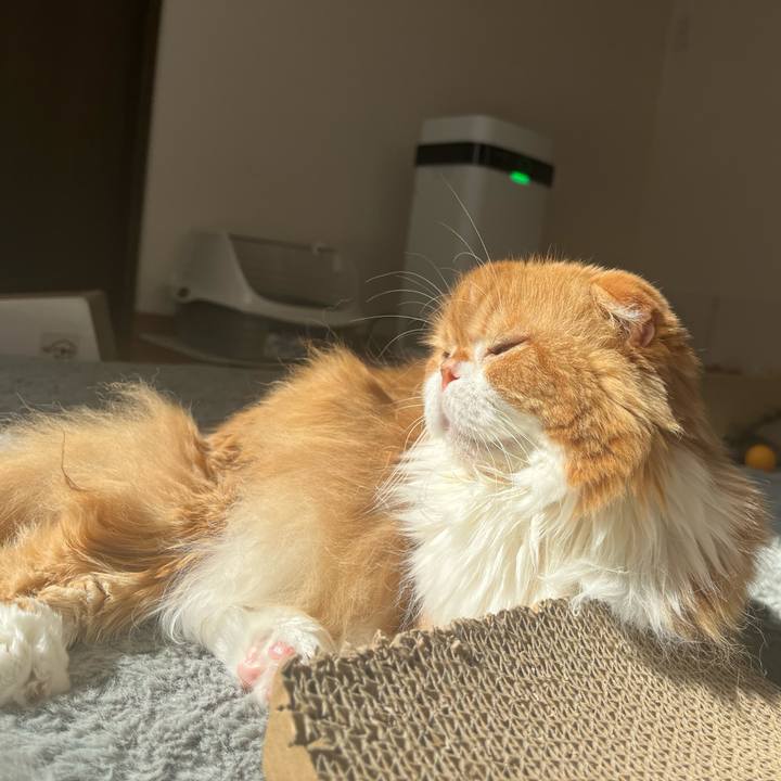 B4625d3f f8c1 4990 916f f54433b26791 1771643127346