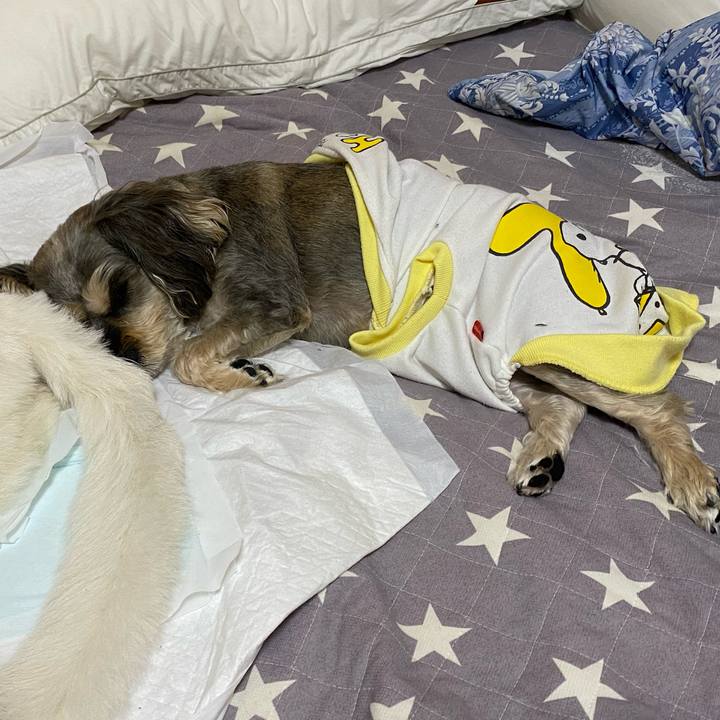 B46262cb 5329 4f2e b93e 947560f76eb5 1670478200714