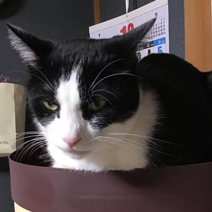 B4627c74 f012 42f7 a5fb 72d8fc8d4687 1728037275503