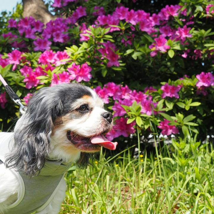 B4629647 011d 4417 9acd 7c56714fa9b2 1524362671150