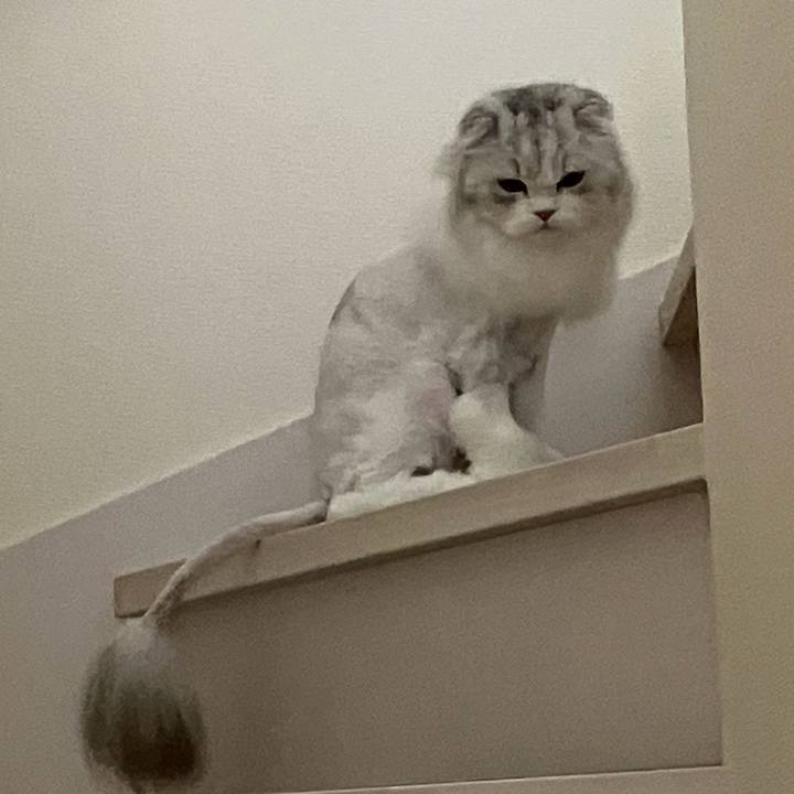 B462ce50 1fb2 49dd 958a 435bbad522e2 1719043146056