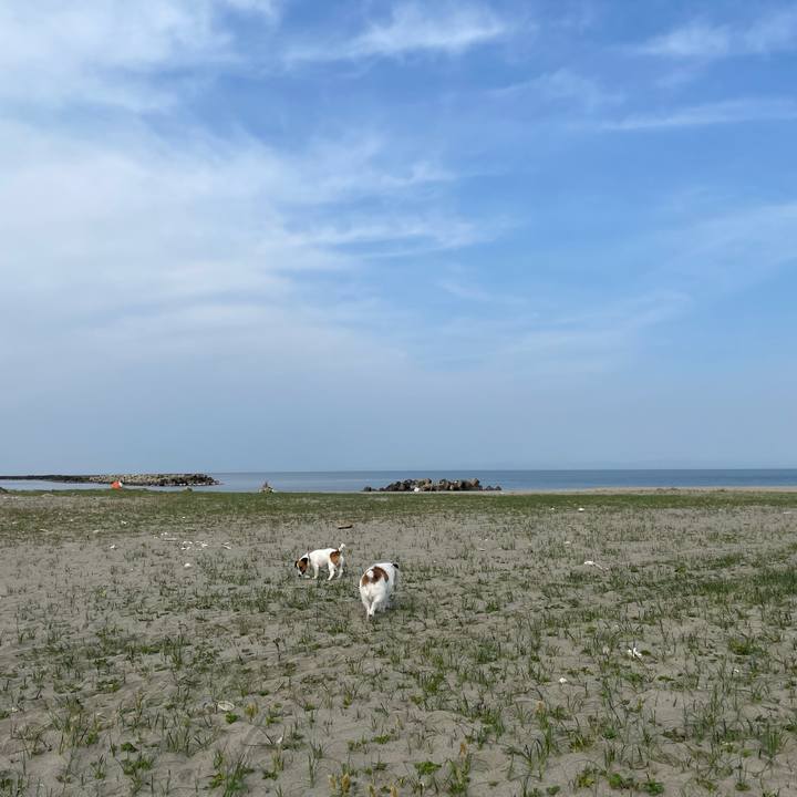 B462e779 a297 4da2 9bf8 ec2d2bd37816 1650498093159